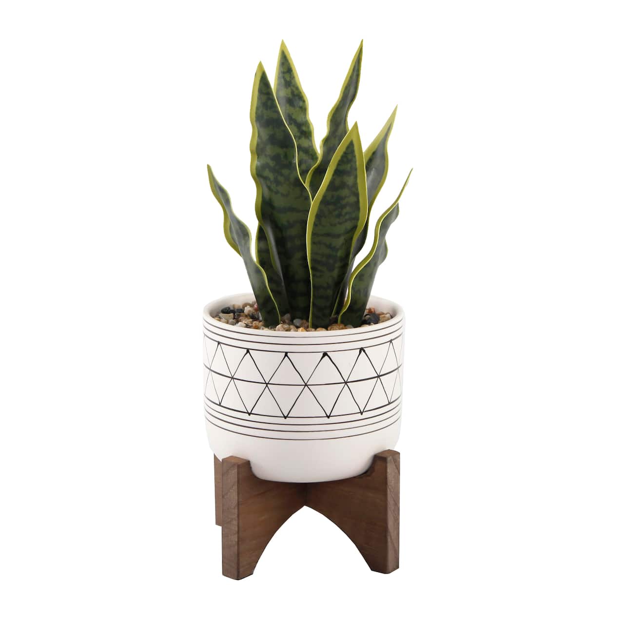 Flora Bunda® 12" Snake Plant In Ceramic On Stand